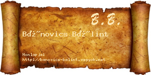 Bánovics Bálint névjegykártya